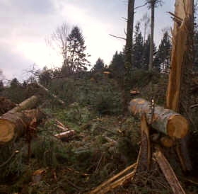 Folgen des Orkans vom 26.12.1999